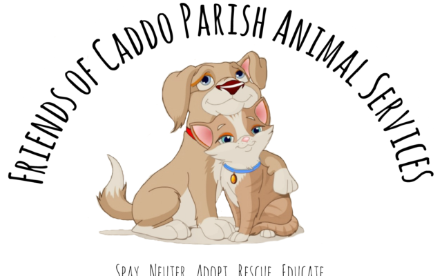 Caddo Parish Animal Shelter to Go Live at Noon to Discuss How You Can Help Shelter Animals During COVID-19 Outbreak