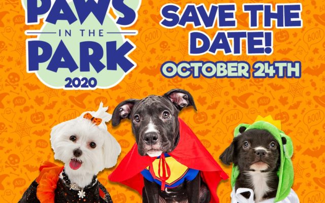 Paws in the Park 2020! Oct. 24th 10-4 at Riverpark Church